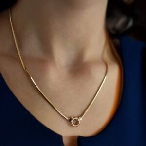 Altın balıksırtı zincir