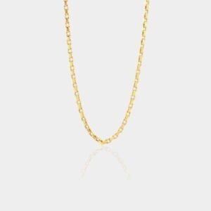 14 Ayar Erkek Altın Zincir 55 cm