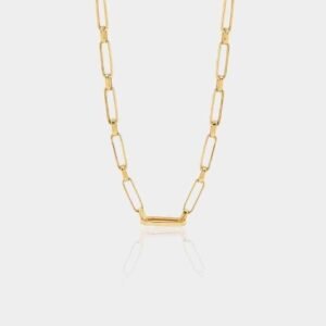 14 Ayar Erkek Altın Zincir 55 cm